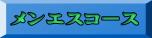 メンエスコース
